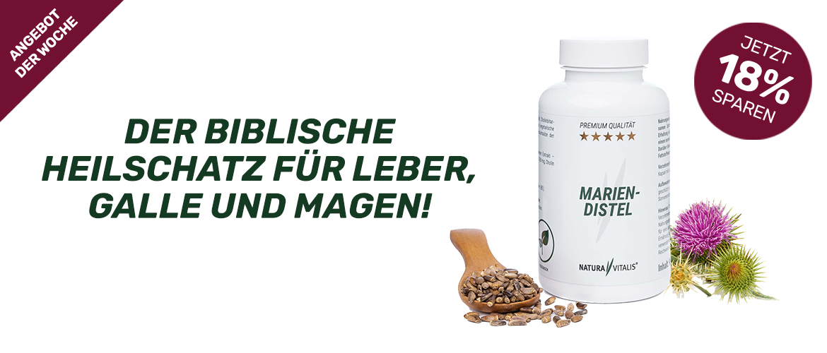 Mariendistel